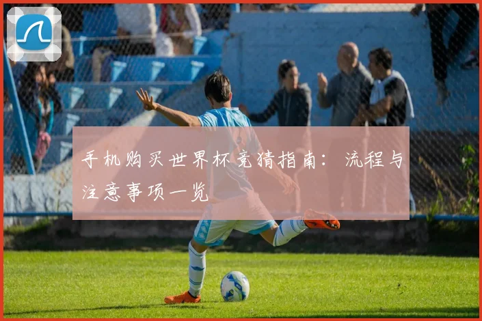 手机购买世界杯竞猜指南:流程与注意事项一览