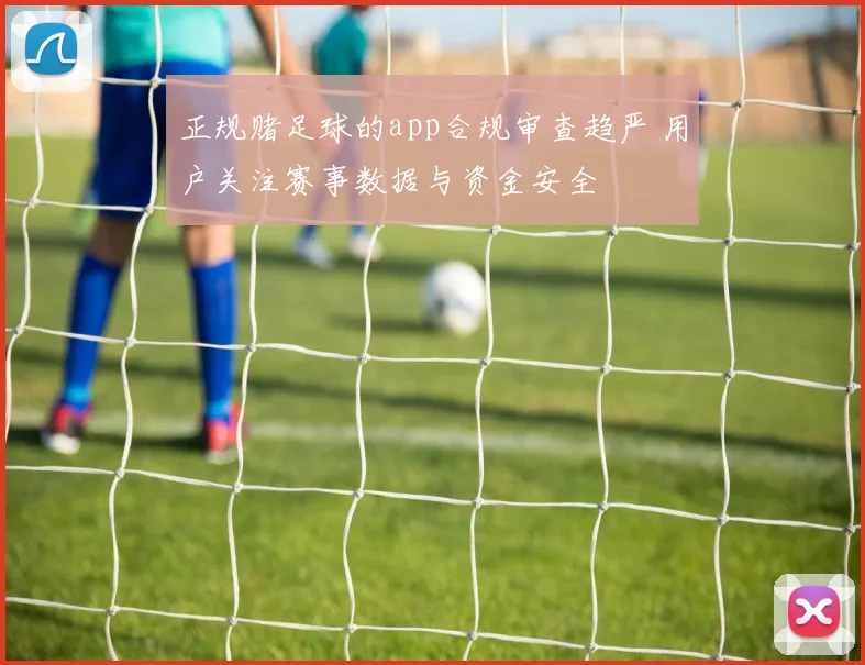 正规赌足球的app合规审查趋严 用户关注赛事数据与资金安全