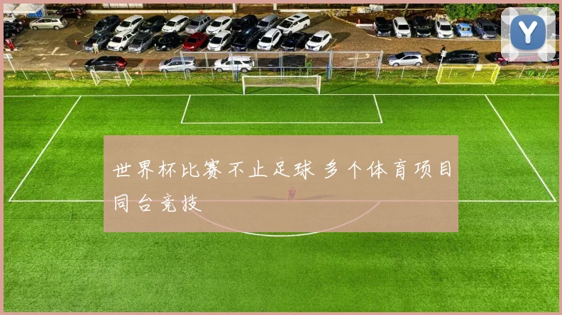 世界杯比赛不止足球 多个体育项目同台竞技