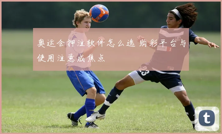 奥运会押注软件怎么选 购彩平台与使用注意成焦点