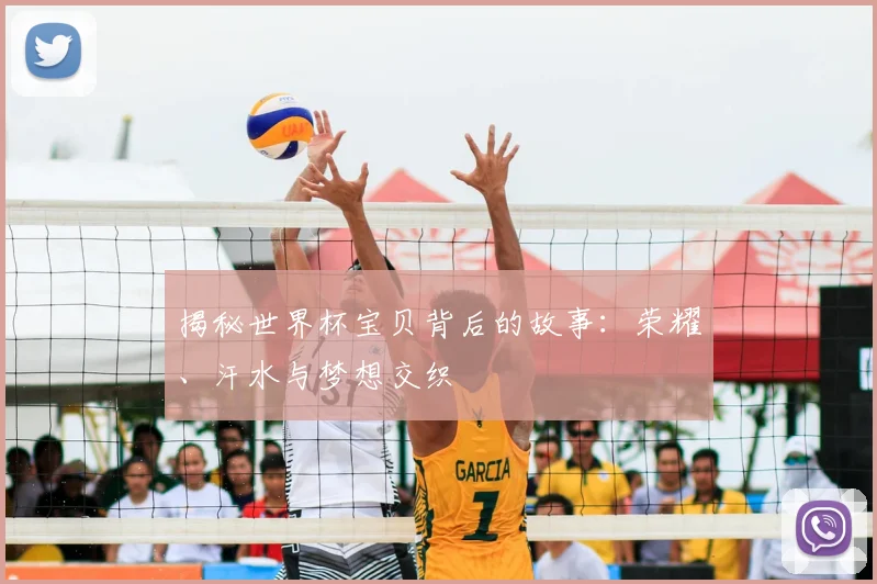 揭秘世界杯宝贝背后的故事:荣耀、汗水与梦想交织