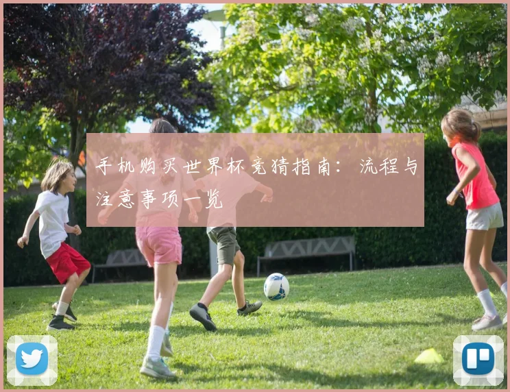 手机购买世界杯竞猜指南:流程与注意事项一览