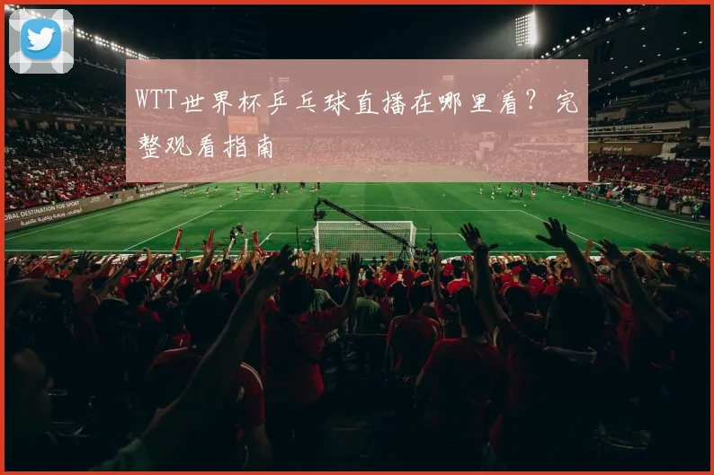 WTT世界杯乒乓球直播在哪里看？完整观看指南