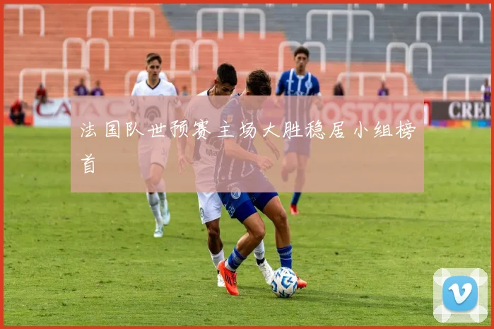 法国队世预赛主场大胜稳居小组榜首